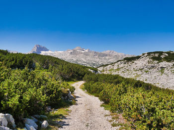 Scenic view of landscape against clear blue sky