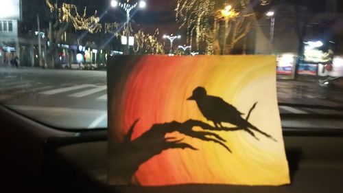 Bird on street in city at night