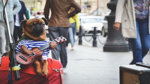 Street artist and his loyal friend