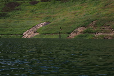 Scenic view of lake