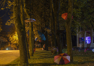 People standing by tree trunk during rainy season