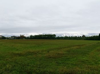 Scenic view of field against sky