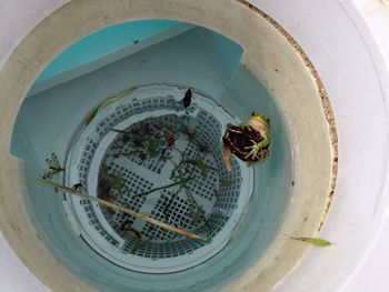 Close-up of circular object on wall