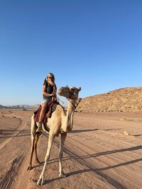 Wadi rum camel ride