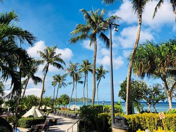 The hot sun, palm trees, the scenery of guam, and the beach of guam.