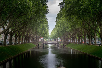 Die königsallee, kurz kö genannt, ist ein in nordsüdlicher richtung verlaufender boulevard 