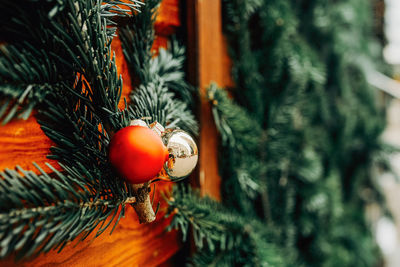 Close-up of christmas tree