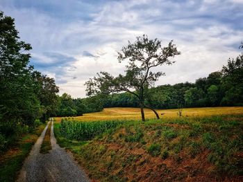 Scenic view of trees on field against sky