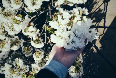 Low section of person wearing flowers