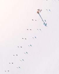 Low angle view of flock of birds