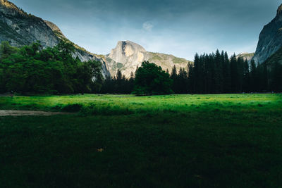 Scenic view of field against sky