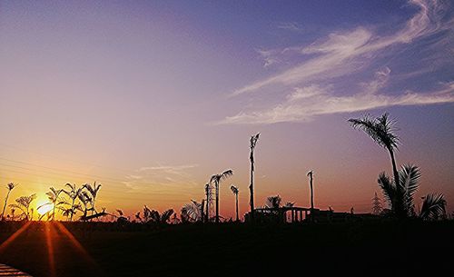 Low angle view of silhouette trees against sky at sunset