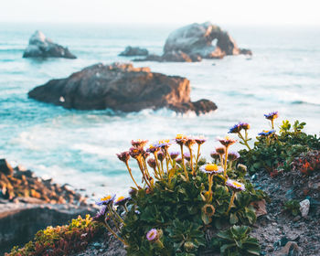 Scenic view of sea against sky