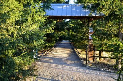 Boardwalk amidst trees against sky