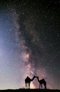 Scenic view of landscape at night