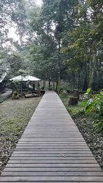 View of boardwalk in forest