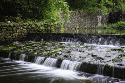 Scenic view of waterfall in forest