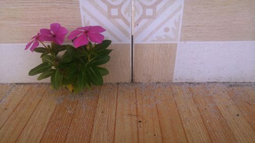 Close-up of flower vase on hardwood floor