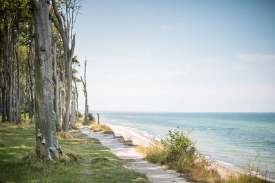 Footpath by the sea