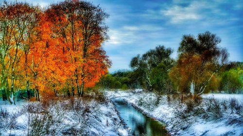 River amidst trees in forest against sky