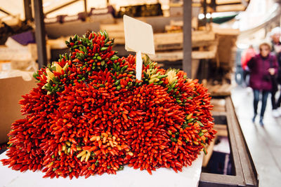 Close-up of red flower for sale in market
