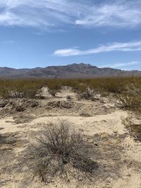 Scenic view of desert against sky