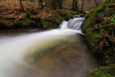 Water flowing through rocks in forest