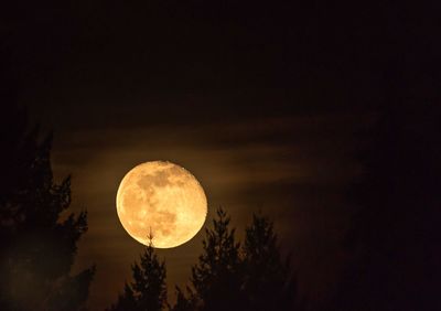 Low angle view of moon in sky at night