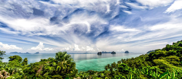 Panoramic shot of trees at sea shore against sky