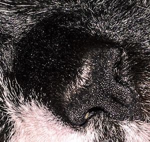 Full frame shot of white background