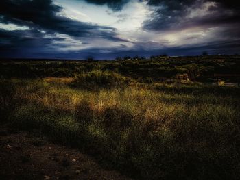 Scenic view of field against sky at dusk