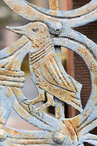 Close-up of rusty metal fence