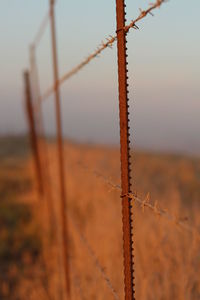 Close-up of barbed wire fence