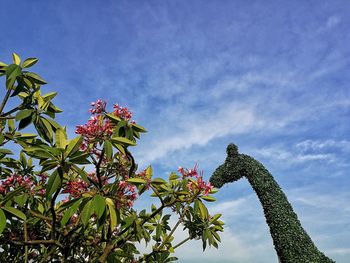 Low angle view of flowering plants against blue sky