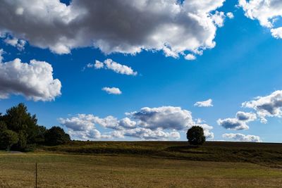 Scenic view of field against sky