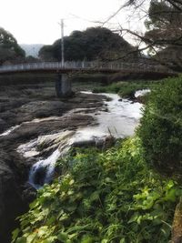 Scenic view of river flowing in forest against sky