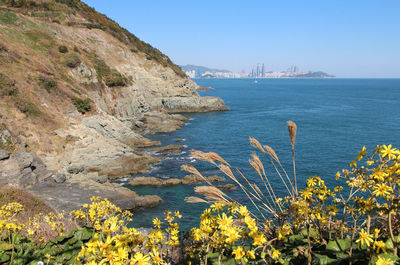 Scenic view of sea against clear sky