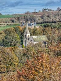 Plants on field against sky