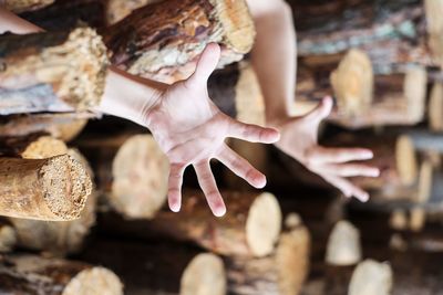 Cropped hands of children gesturing amidst logs