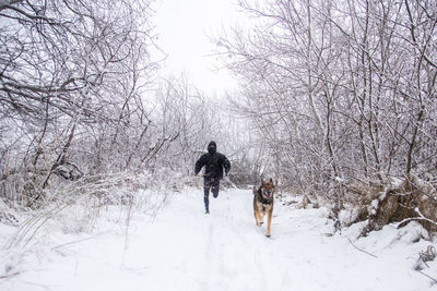 Dog on snow covered landscape during winter