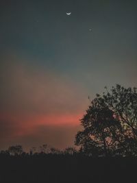 Silhouette trees against sky during sunset