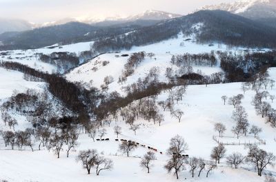 Scenic view of snow covered mountains