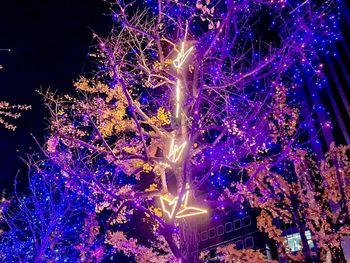 Low angle view of firework display at night