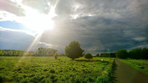 Scenic view of field against sky