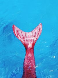 Low section of person wearing mermaid costume while swimming in pool