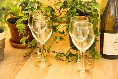 Wine glasses on table