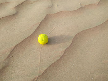 High angle view of yellow ball on sand