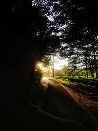 Road amidst trees against sky