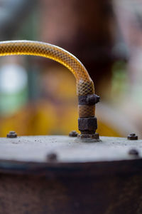 Close-up of rusty metal tube against blurred background