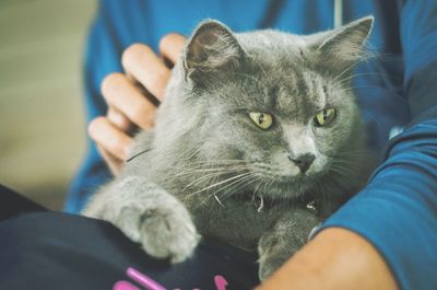 Midsection of person holding cat